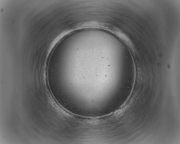 X0000064751288200602131217