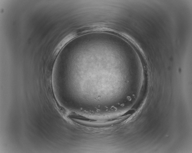 X0000064751289200602131217