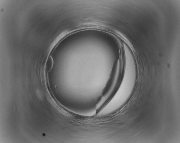 X0000064751291200602131217