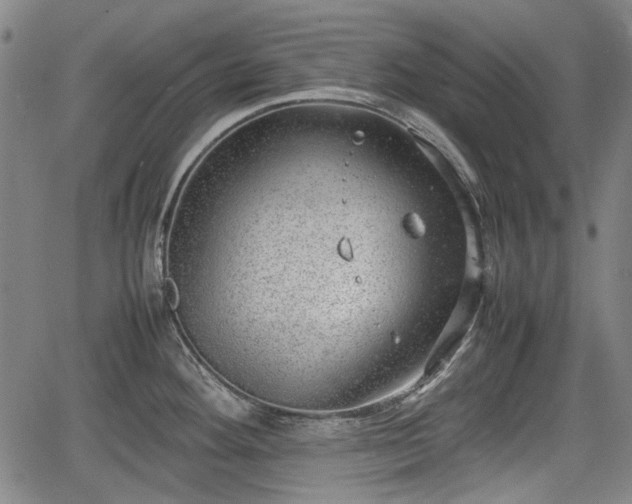 X0000064751292200602131217