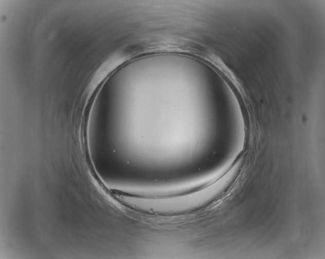 X0000064751293200602131217