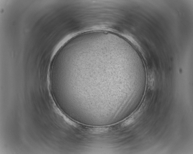 X0000064751294200602131217