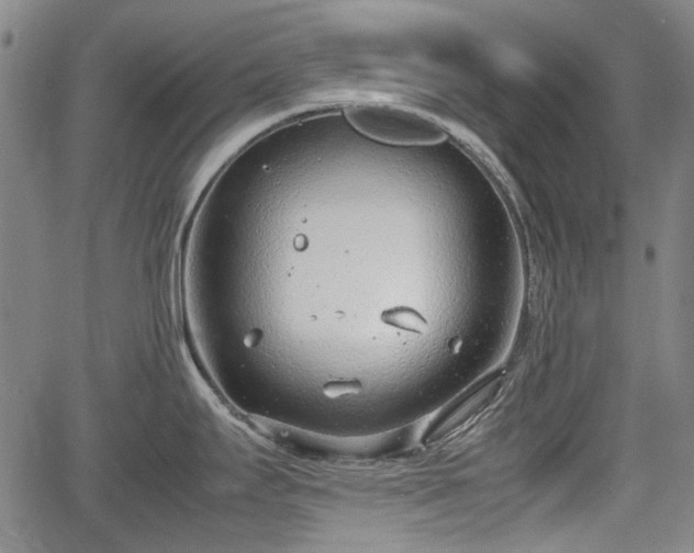 X0000064751295200602131217