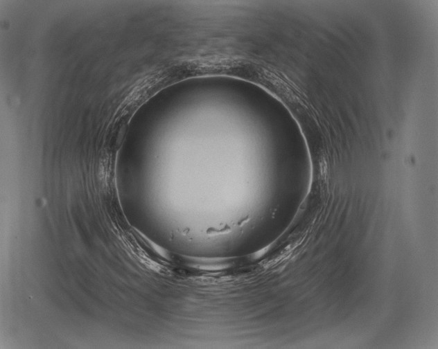 X0000064751300200602131216