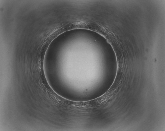 X0000064751301200602131216