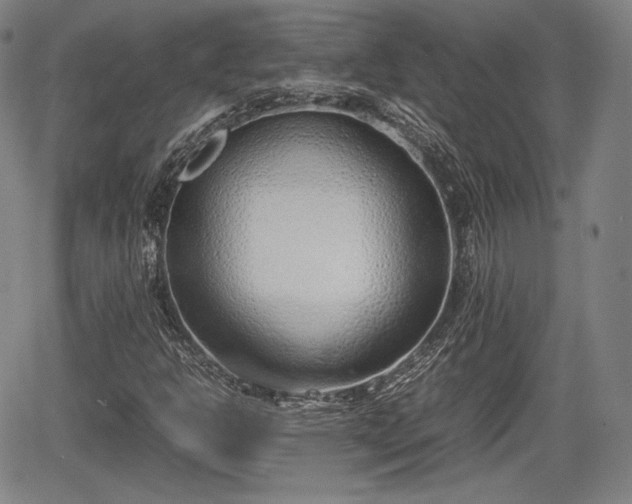 X0000064751302200602131216