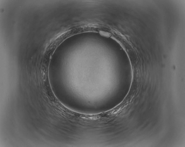 X0000064751303200602131216