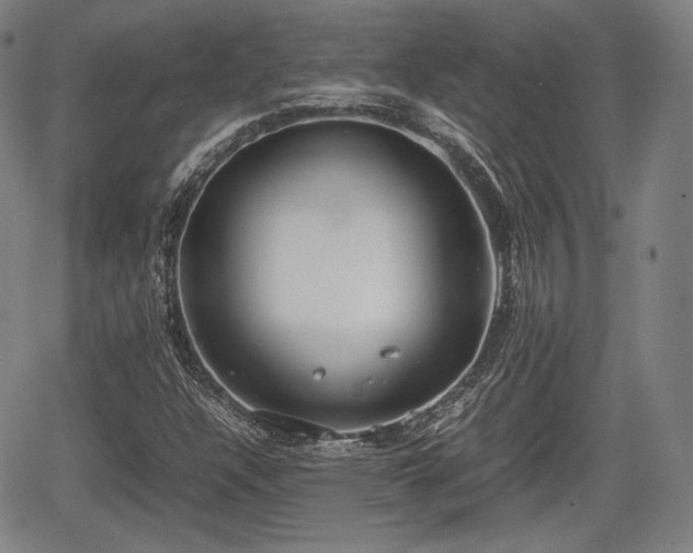 X0000064751304200602131216