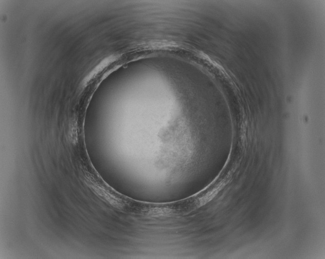 X0000064751306200602131216