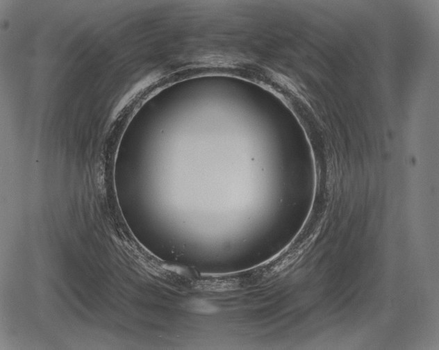 X0000064751307200602131216