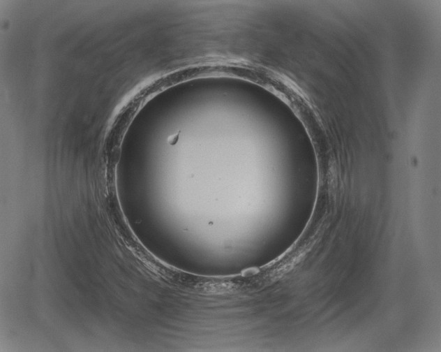 X0000064751310200602131216