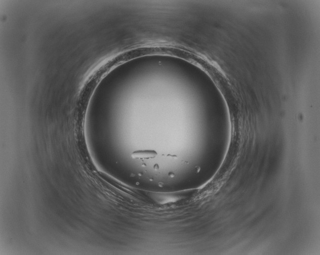 X0000064751311200602131216