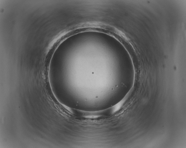 X0000064751312200602131216