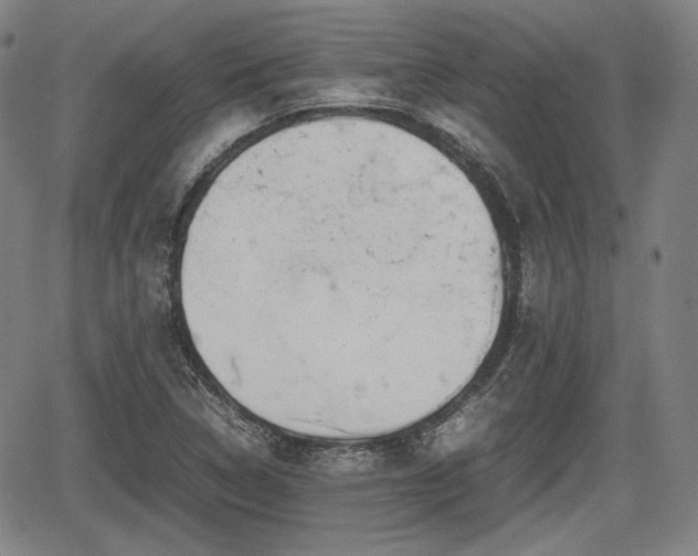 X0000064751314200602131216