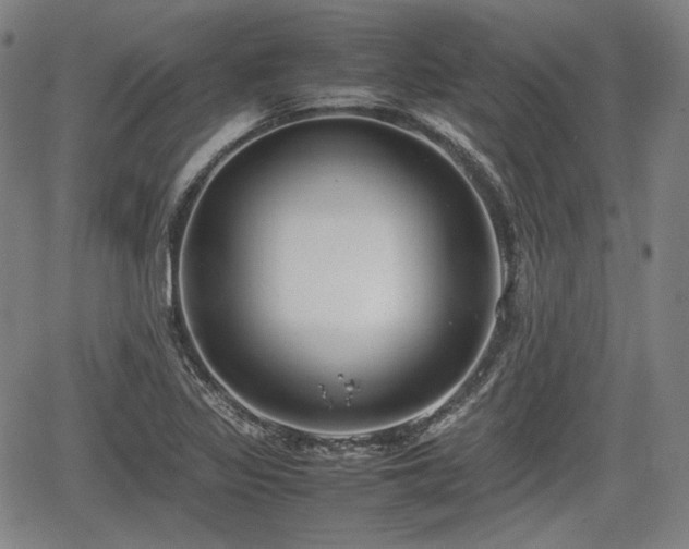 X0000064751317200602131216