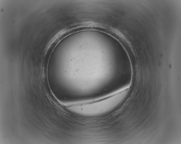 X0000064751318200602131217