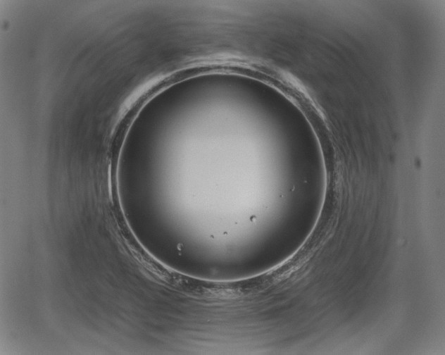 X0000064751320200602131217