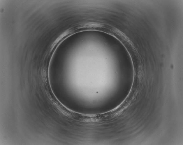 X0000064751321200602131217