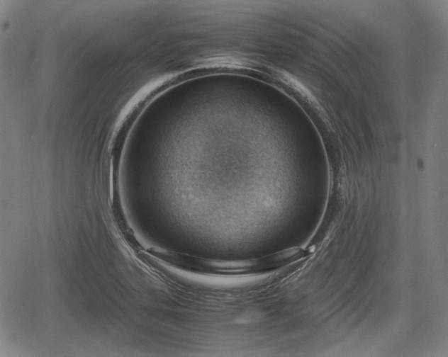 X0000064751323200602131217