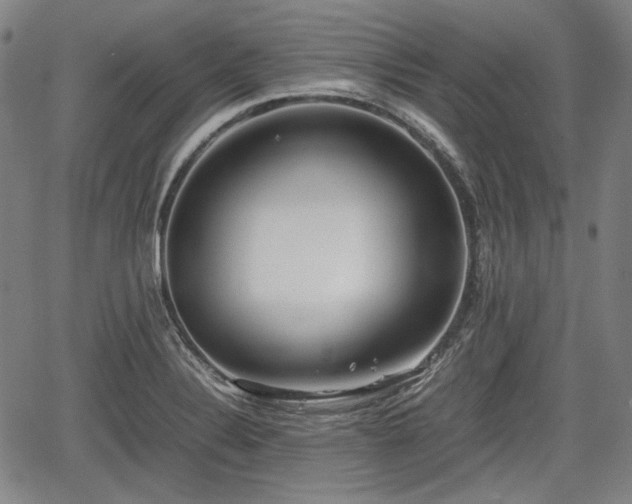 X0000064751324200602131217