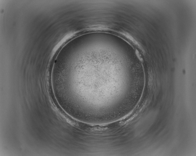 X0000064751325200602131217