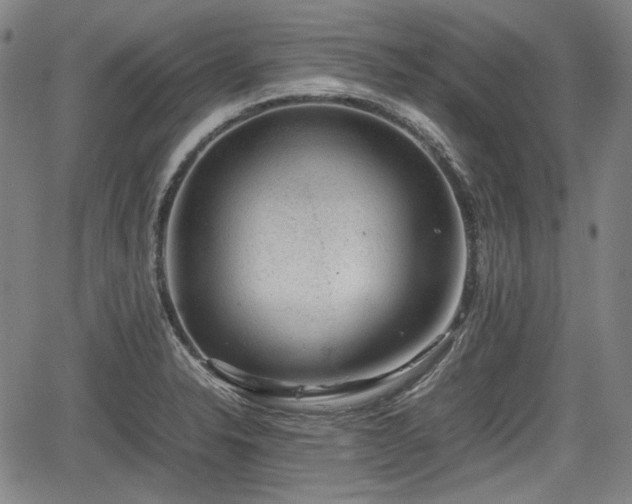 X0000064751326200602131217