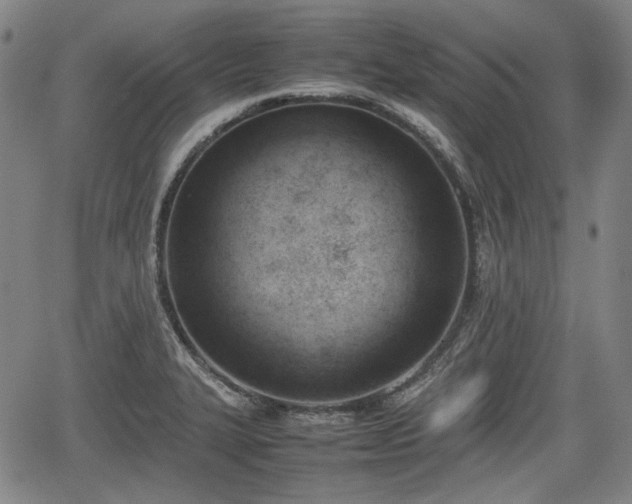 X0000064751327200602131217