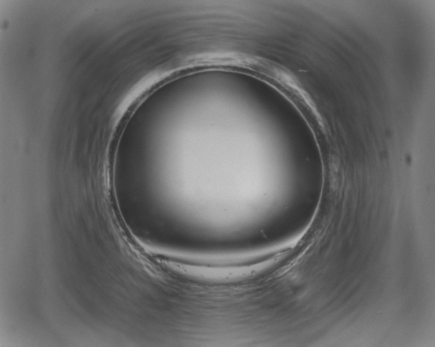 X0000064751328200602131217