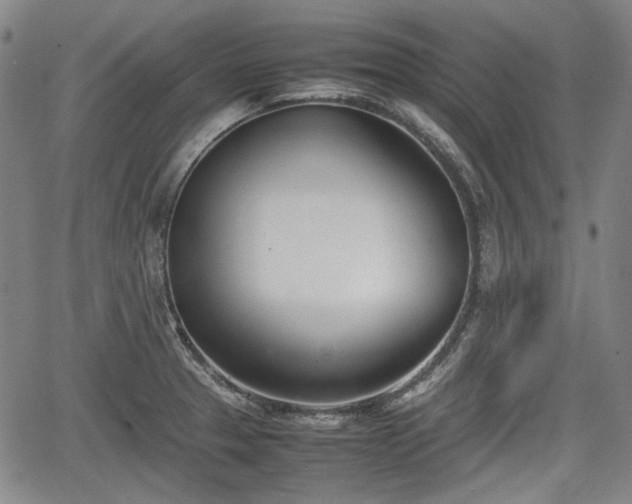 X0000064751329200602131217