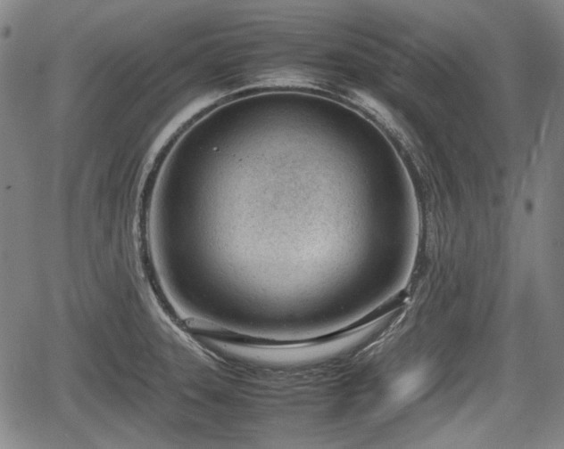 X0000064751331200602131217