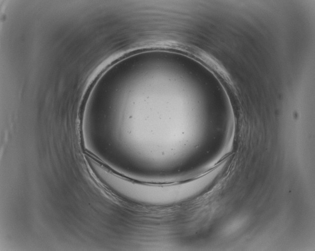 X0000064751332200602131217