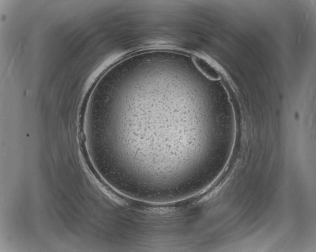 X0000064751333200602131217