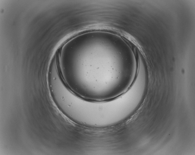 X0000064751334200602131217