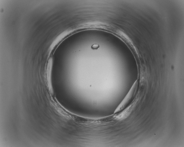 X0000064751336200602131217