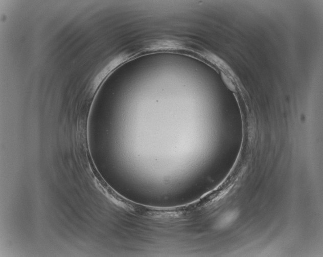 X0000064751337200602131217