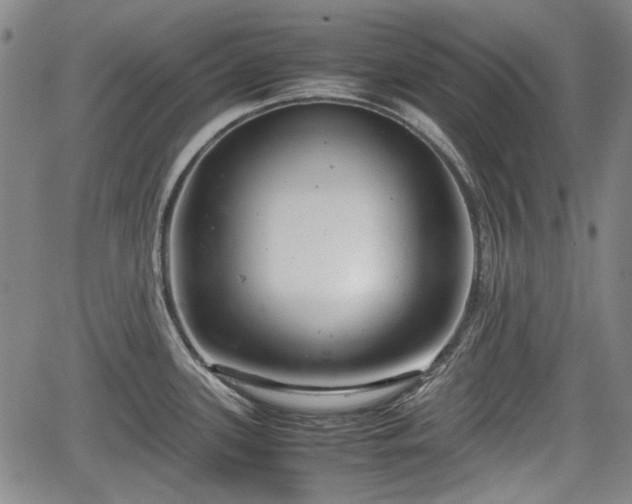 X0000064751339200602131217