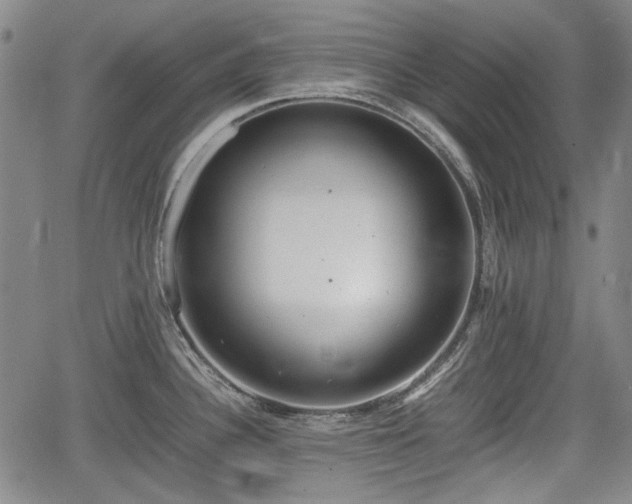 X0000064751340200602131217