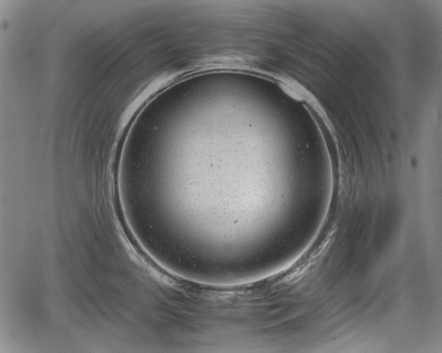 X0000064751341200602131217