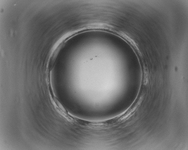 X0000064751342200602131217