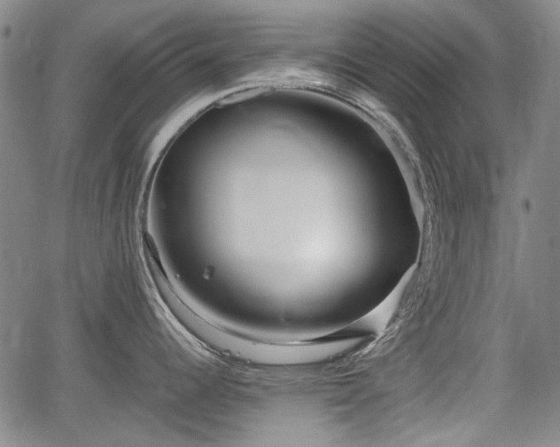 X0000064751344200602131217