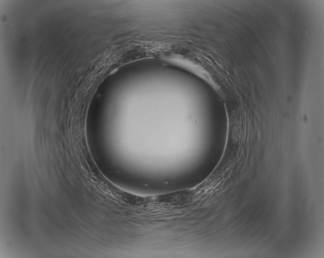 X0000064751345200602131216