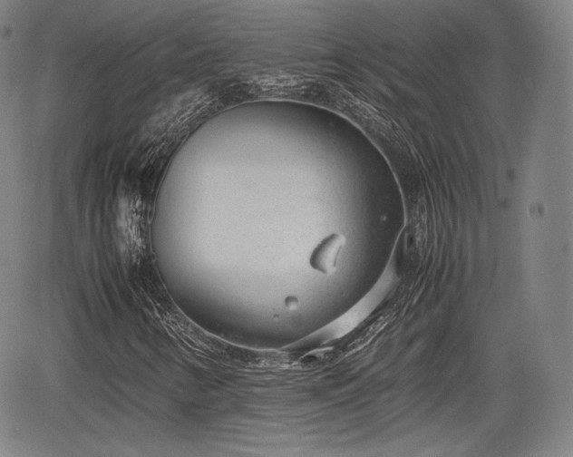 X0000064751346200602131216