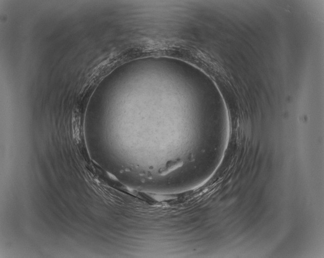 X0000064751348200602131216