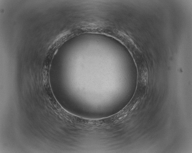 X0000064751350200602131216