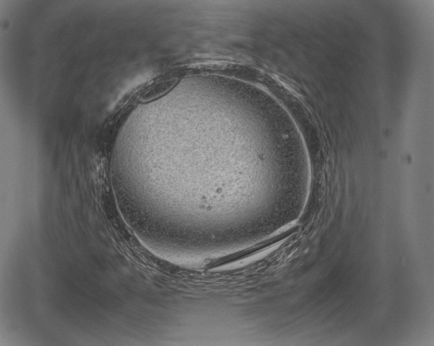 X0000064751351200602131216