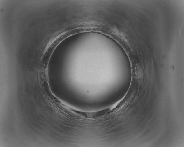 X0000064751352200602131216