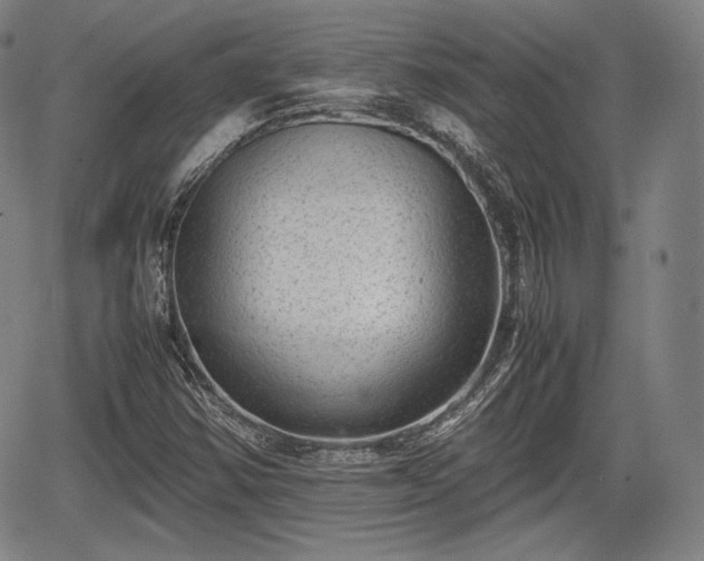 X0000064751354200602131216