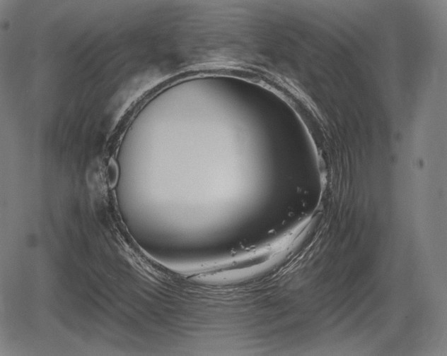 X0000064751356200602131216