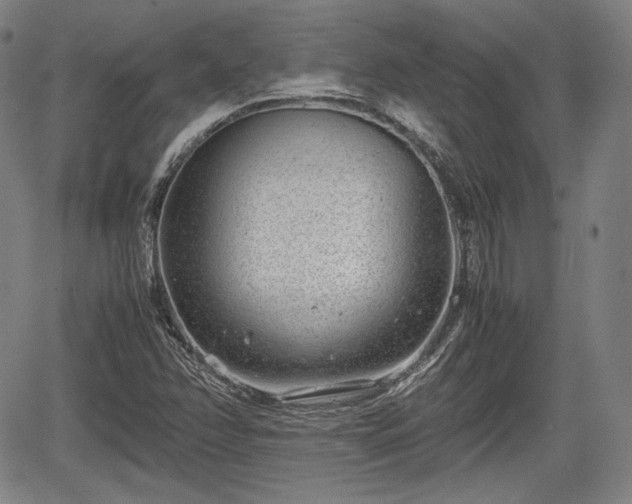 X0000064751358200602131216