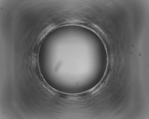 X0000064751361200602131216